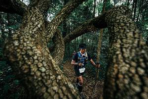 BIB: 
                            <button type="button" onclick="openModal(25393990)" class="btn btn-primary btn-sm float-right btn-popup" data-toggle="modal" data-target=".modal-high-quality">
                        <i class="fas fa-shopping-cart"></i> Add to Cart
                    </button>
                                            <button type="button" onclick="isThisMe(25393990, true)" class="btn btn-success btn-sm float-right btn-popup btn-isme hidden" data-toggle="tooltip" data-placement="bottom" title="นี่คือรูปของคุณใช่ไหม คลิกที่นี่เพื่อเอาเข้าอัลบั้ม">
                        <i class="fas fa-plus"></i> Add to album
                    </button>
                    <button type="button" onclick="isThisMe(25393990, false)" class="btn btn-warning btn-sm float-right btn-popup btn-isnotme hidden">
                        <i class="fas fa-ban"></i> Remove from album
                    </button>